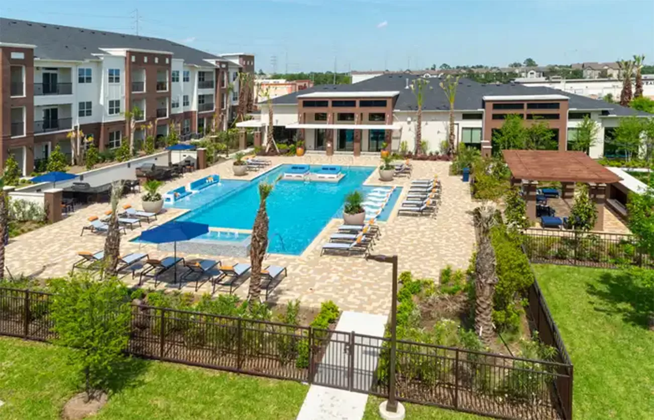 Domain New Forest